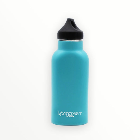 thermos water bottle - seafoam green kangateen
